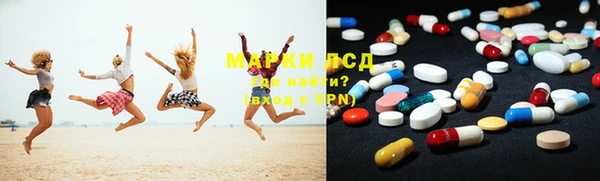 сатива Верея