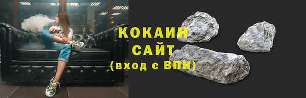 сатива Верея
