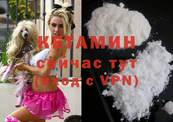 сатива Верея