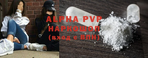 сатива Верея