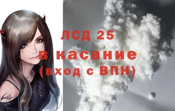 сатива Верея