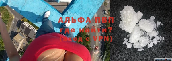 сатива Верея